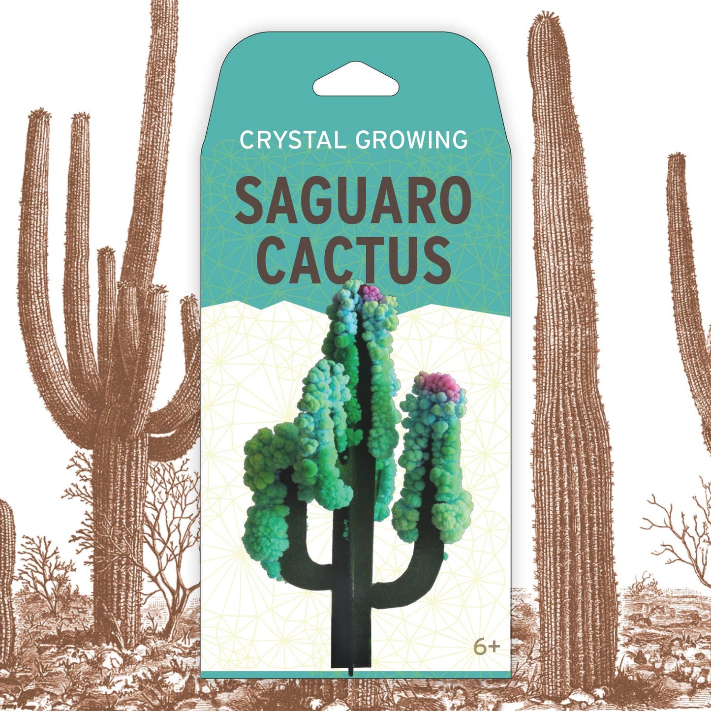 Crystal Growing Saguaro Cactus | 
Craft Kit Science Kit