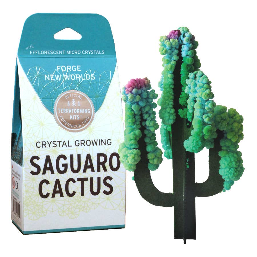 Crystal Growing Saguaro Cactus | 
Craft Kit Science Kit