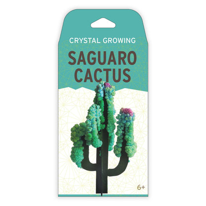 Crystal Growing Saguaro Cactus | 
Craft Kit Science Kit