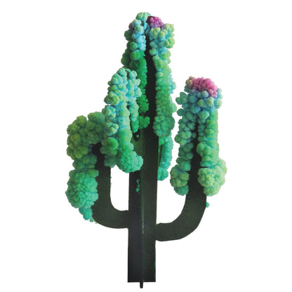 Crystal Growing Saguaro Cactus | 
Craft Kit Science Kit