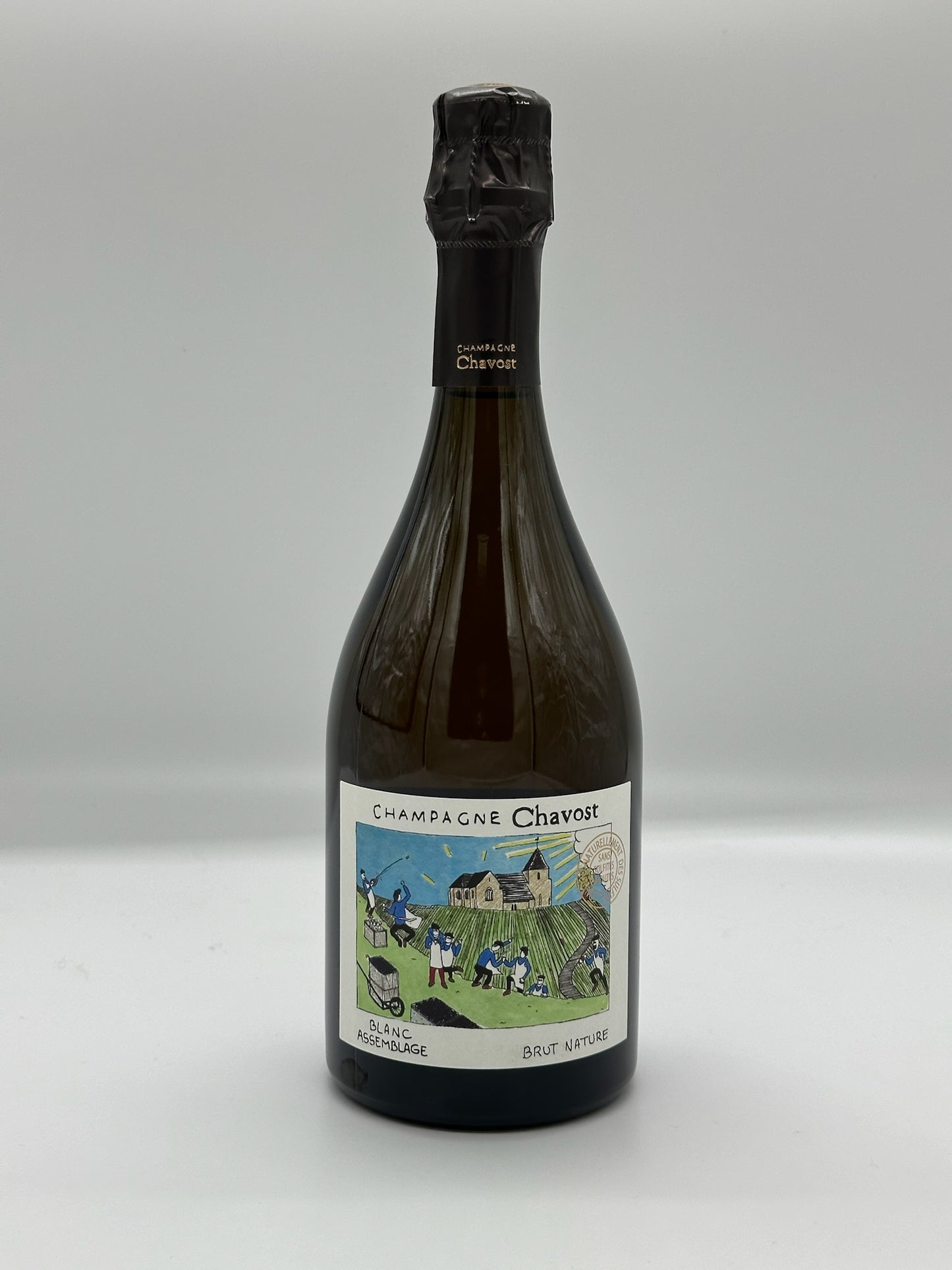 Chavost Blanc Assemblage Brut Nature NV