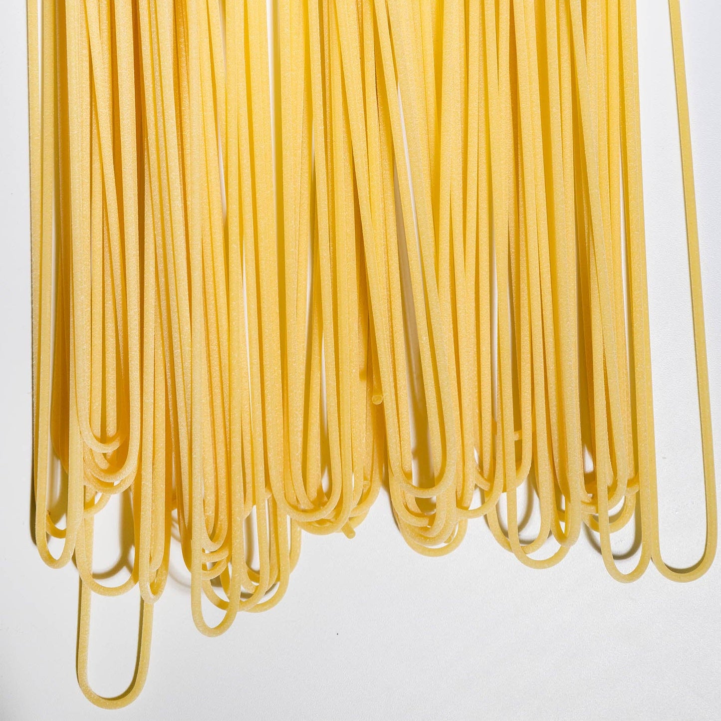 Organic Bucatini Lunghi Pasta