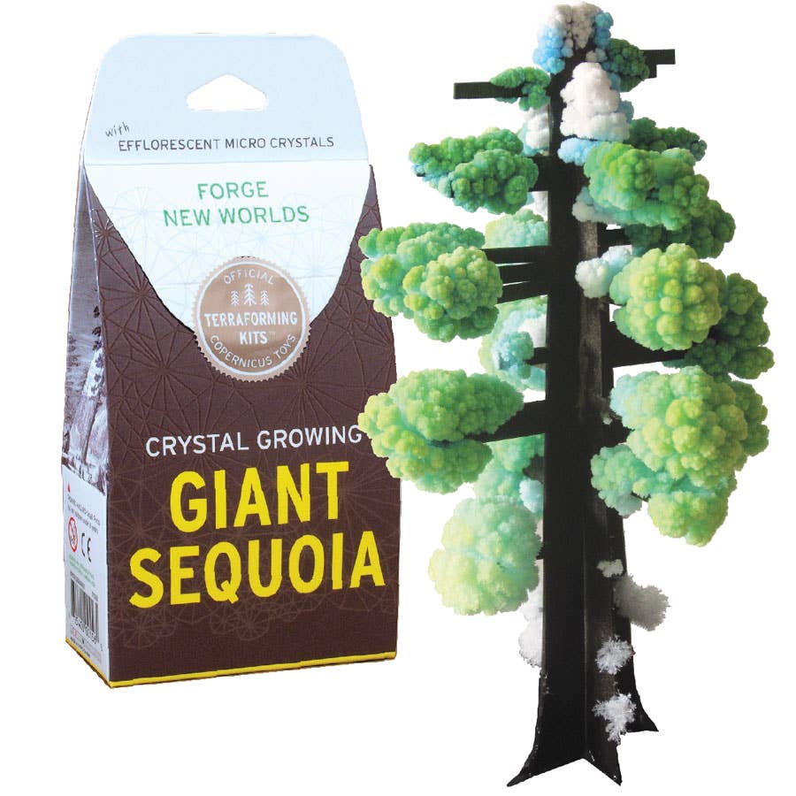 Crystal Growing Giant Sequoia | 
Craft Kit Science Kit